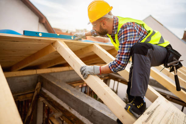 Best Roof Gutter Cleaning  in Kenton, OH